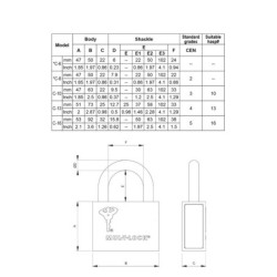 Candado alta seguridad Mul-T-Lock C13 removible - 3 llaves