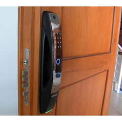 Puerta de seguridad LIZSAFE - Expert Plus