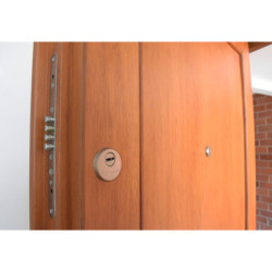 Puerta de seguridad LIZSAFE - Expert Plus